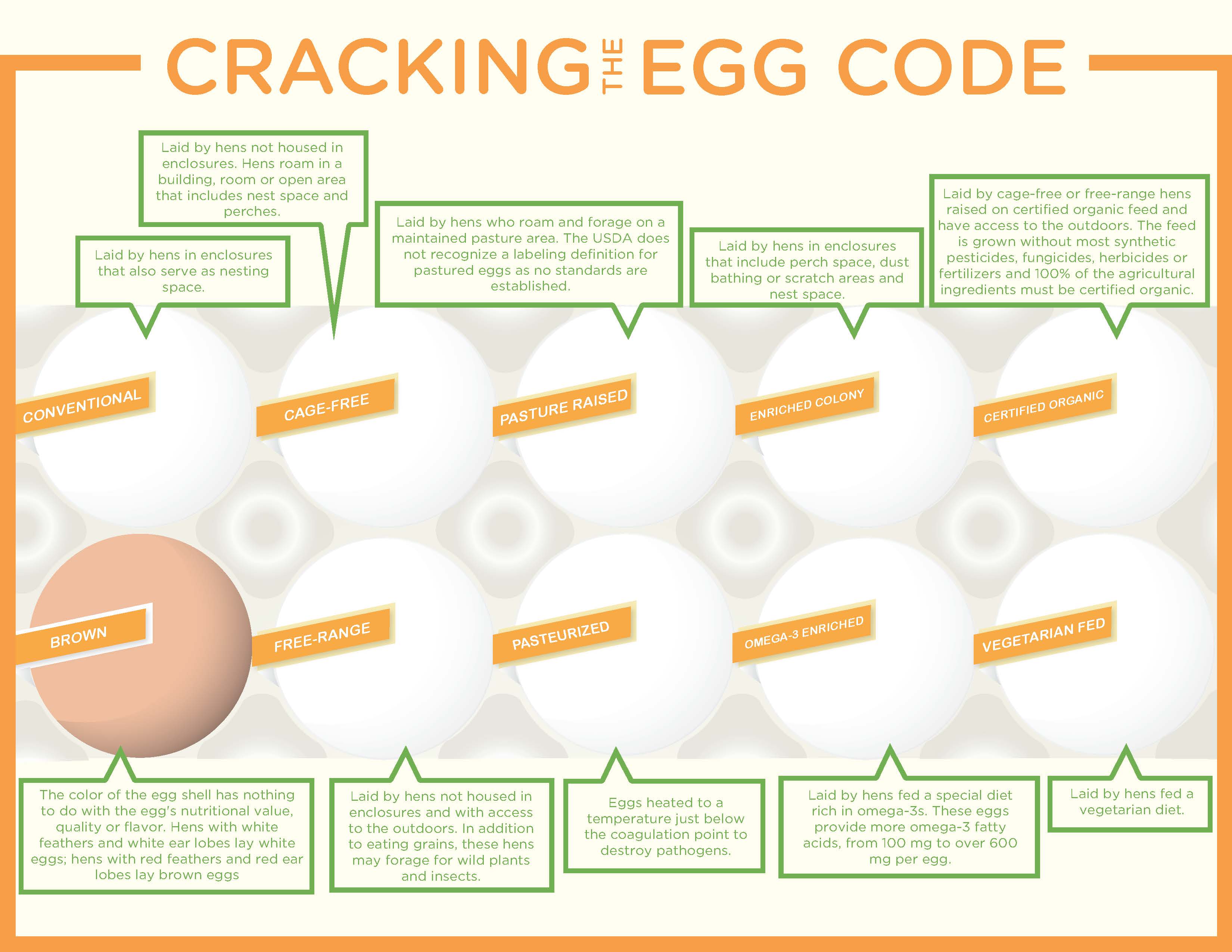 Cracking the Egg Code (PDF)